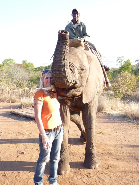 25. This had been saved because a lion bit the end of her trunk