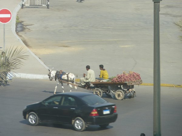 5. All that traffic and still using donkey carts