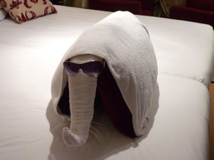 33. Our towel elephant