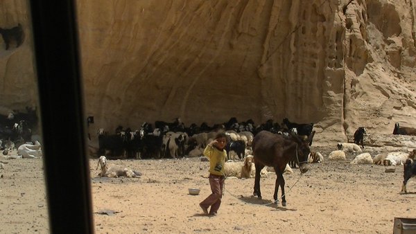 14. Bedouin life