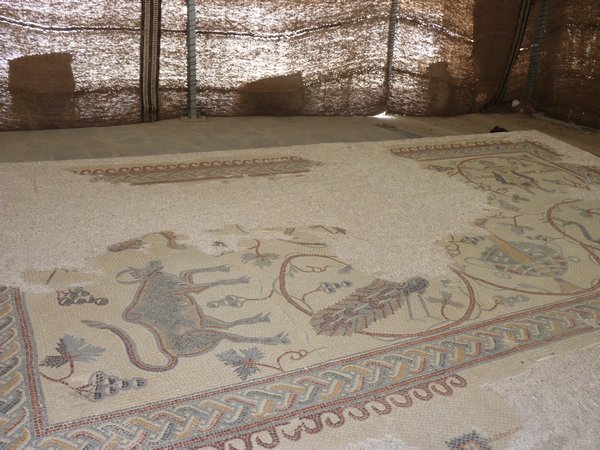 19. Mosaic floor from church