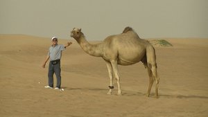64. The friendliest camel ever