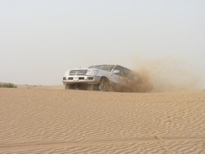 71. Dune thrashing #5