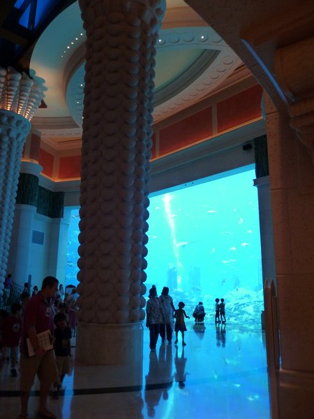 15. Hotel aquarium #3