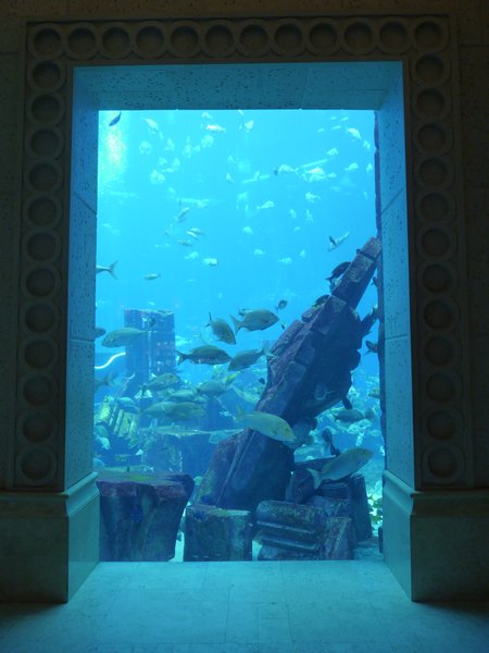 16. Hotel aquarium #4