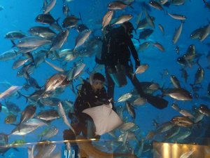 76. Aquarium at Dubai Mall #1