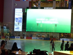 79. Dubai Mall Ice Skating Rink