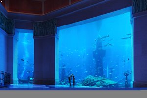 97. Atlantis - The palm Aquarium #2