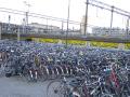 50. Push bikes - thousands of them