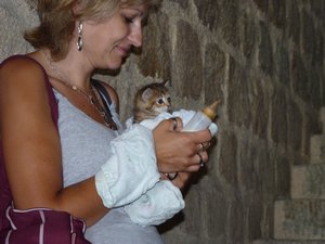 92. Lady with a kitten!