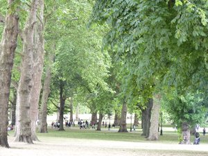 58. The park next to Buckingham Palace. There are no flowerbeds here. A past King gave flowers to a lady, so the Queen demanded all the flowerbeds be removed.