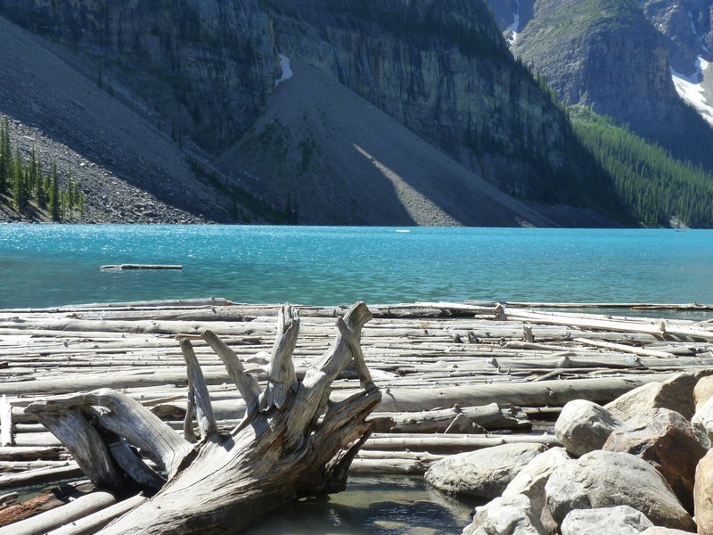 25. Lake Morraine - loads  of fallen pines have collected in the end