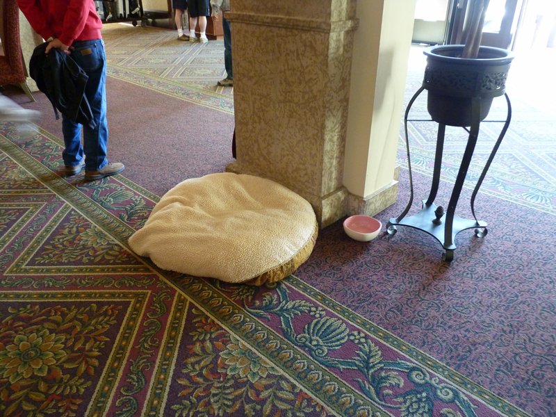 15. Around the Chateau - the resident dog's bed