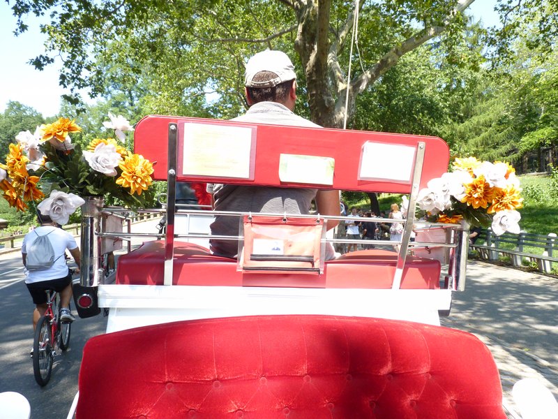 11. Horsey cart through Central Park