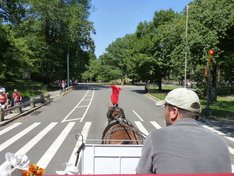 11a. Horsey cart through Central Park