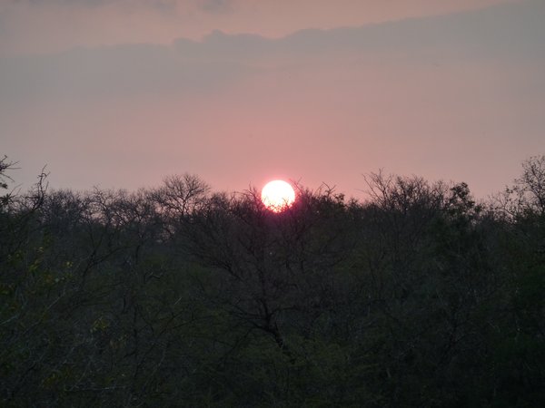 Sunset in the Bush