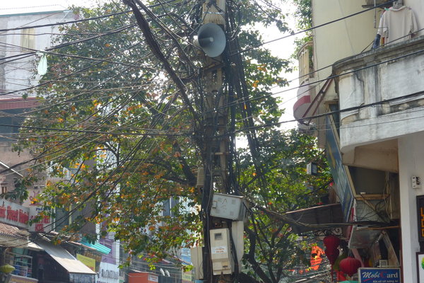 Hanoi Electric Wires