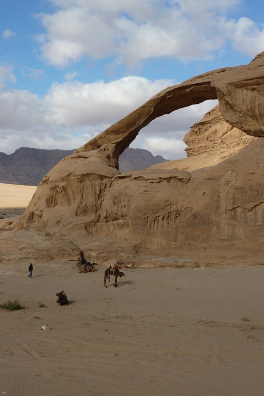 Natural Arch with Camels