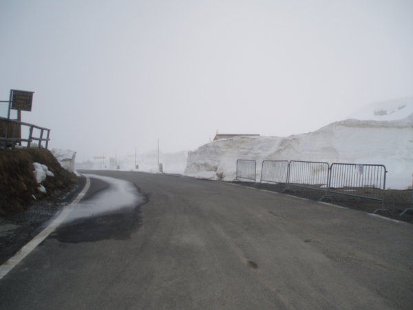 White-out on the Gavia