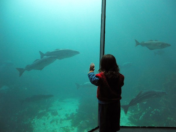 Ålesund aquarium