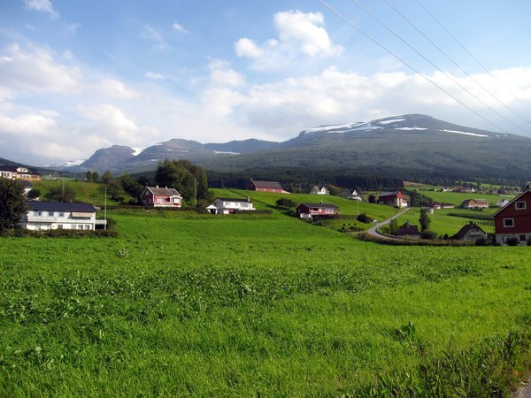 typical Norwegian view from the road 