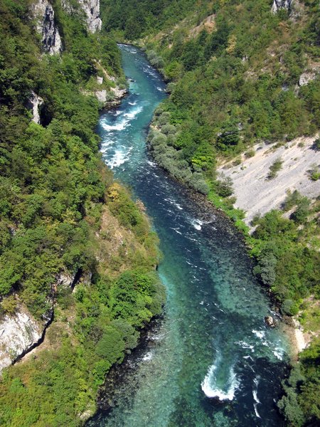 Tara River 