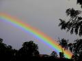 The rainbow I saw