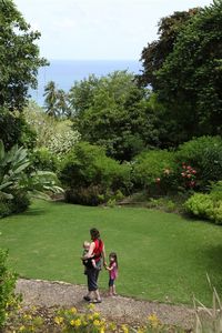 Andromeda Botanic Gardens, Barbados