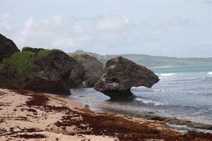 Soup Bowl beach, Barbados