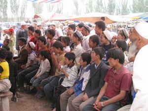 Kashgar - livestock market 