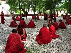 Drepung Monastery - debate time 