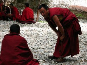Drepung Monastery - debate time