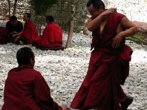 Drepung Monastery - debate time