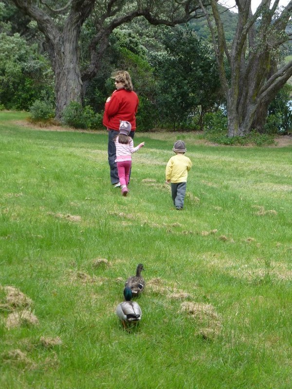 The ducks chased us for over 1/2 km
