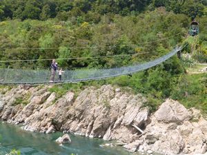 longest swing bridge in NZ 
