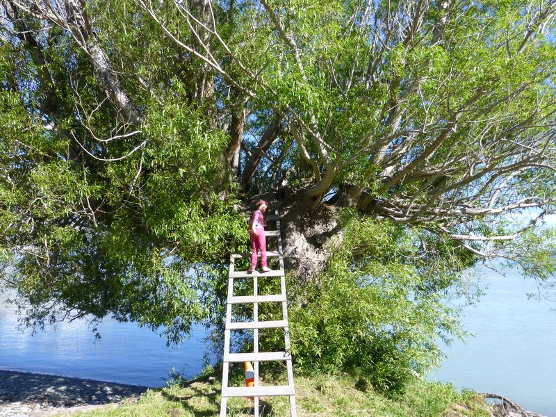 Liya climbing a tree - I