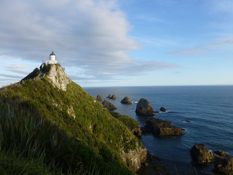 Nugget Point - I 