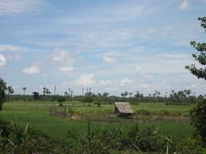 Cambodian country-side 