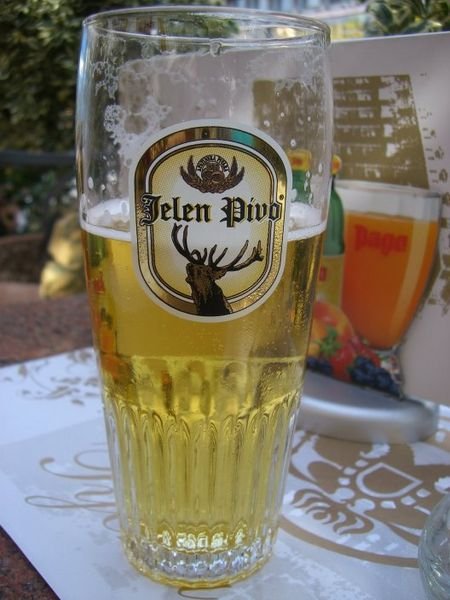 Jelen Pivo