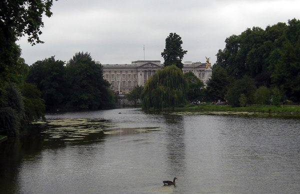 Buckingham Palace (as seen from St James's Park)