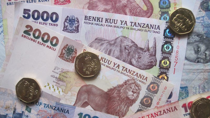Tanzanian Shillings Photo tanzanian-shilling-currency-flags-of-the-world