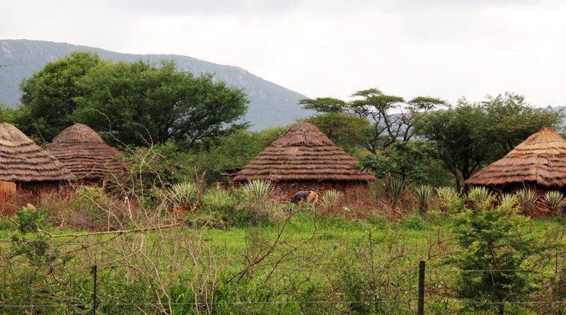 Traditional huts in the Swaziland country
