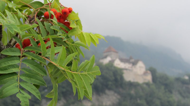 Vaduz Castle and greenery