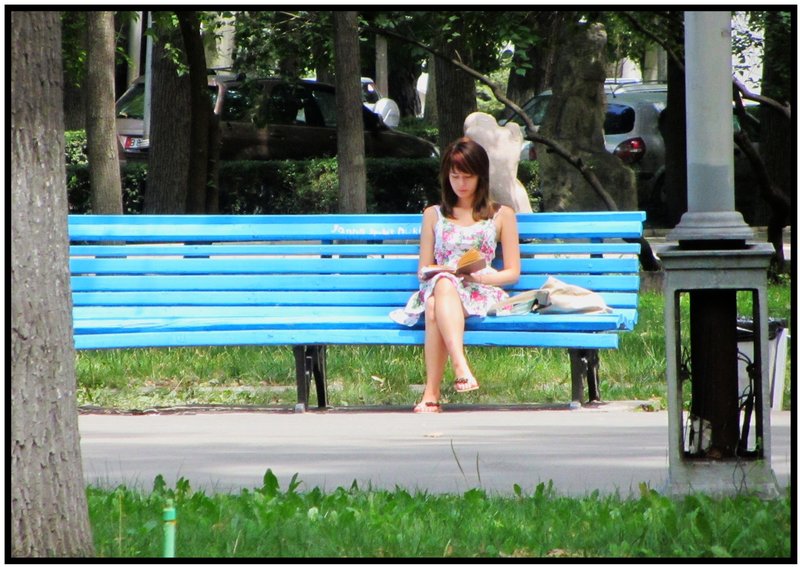 A girl reads her book in Oak Park
