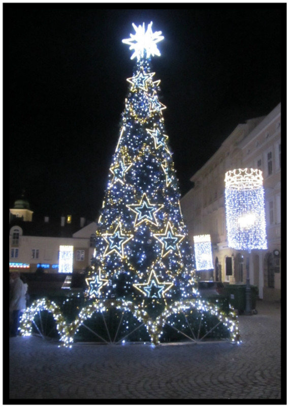 Christmas Tree in the central square