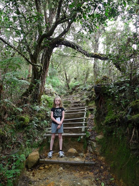 Stejl vandring op ad Mount Kinabalu