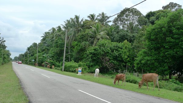 En hovedvej i øst malaysia