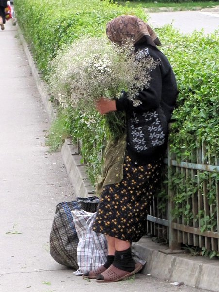 Flower-selling Romanian