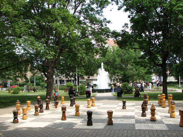 Chess game in the park