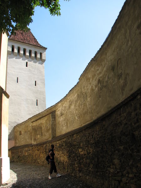 Defense walls